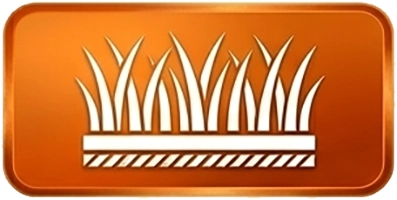 Artificial Turf